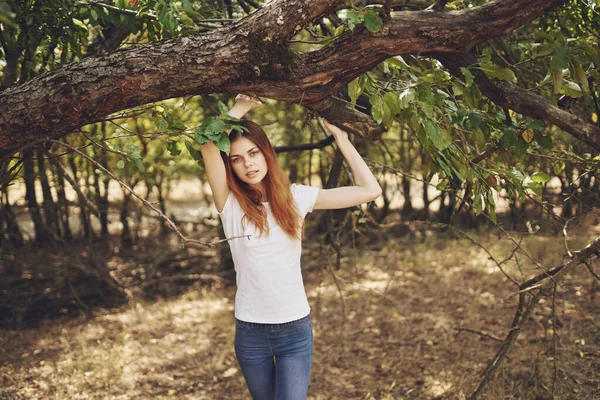 여름 정원에서 자연에 손을 얹은 나무가지에 손을 댄 여자 — 스톡 사진