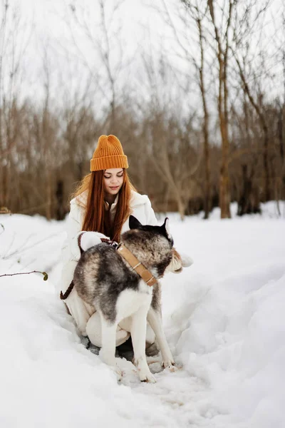 Woman in the snow playing with a dog fun friendship winter holidays — Stock Photo, Image