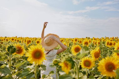 Çiçek açan ayçiçekleri olan bir tarlada iki örgülü saçlı kadın.