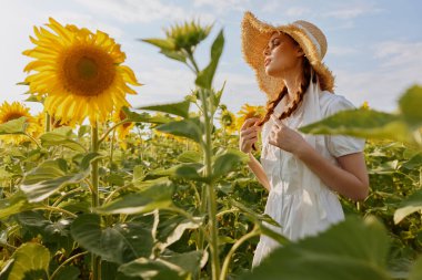 Ayçiçeği tarlasında şapkalı bir kadın portresi