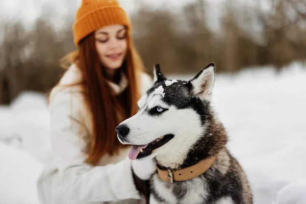 Kar yürüyüşünde köpekli bir kadın dinlenme oyunu oynuyor — Stok fotoğraf