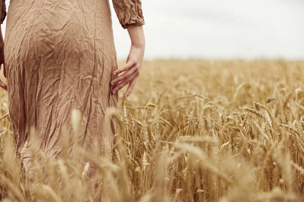 Mulher entrega o agricultor em causa o amadurecimento de espigas de trigo no início do verão campo sem fim — Fotografia de Stock