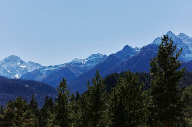 Orman manzarası açık yaz tatili parkı zirvesi