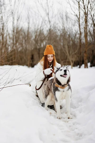 Mulher alegre ao ar livre em um campo no inverno andando com um cão Estilo de vida — Fotografia de Stock