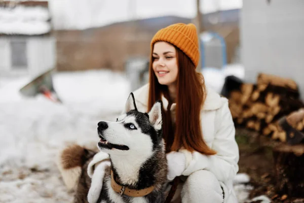 Belo cão em uma trela paisagem de inverno passeio amizade férias de inverno — Fotografia de Stock