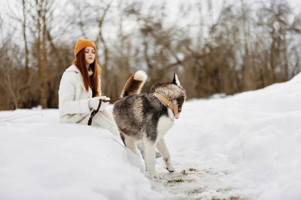 겨울 옷을 입고 눈 속에서 개를 산책하는 여성의 모습 — 스톡 사진