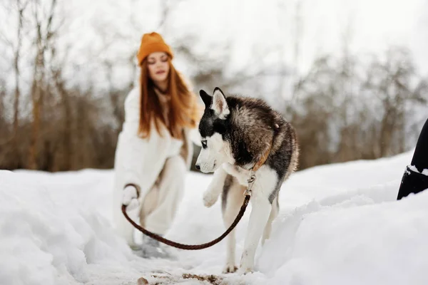 Fiatal nő husky téli táj séta barátság friss levegő — Stock Fotó