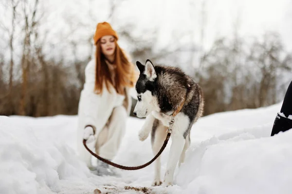 Young woman with husky winter landscape walk friendship fresh air — Stock Photo, Image