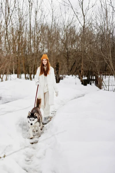 Mulher Neve Brincando Com Cão Livre Amizade Férias Inverno Foto — Fotografia de Stock