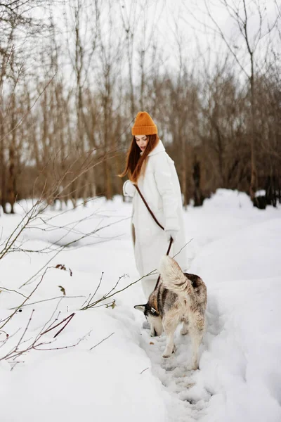 Jovem mulher na neve brincando com um cão ao ar livre amizade férias de inverno — Fotografia de Stock