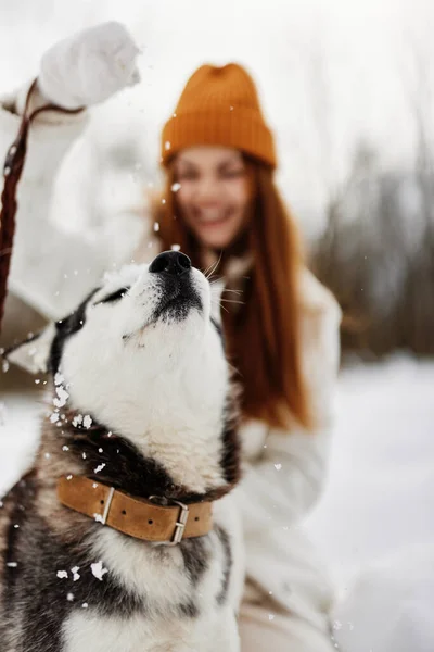 有狗的女人户外运动雪的乐趣旅游生活方式 — 图库照片