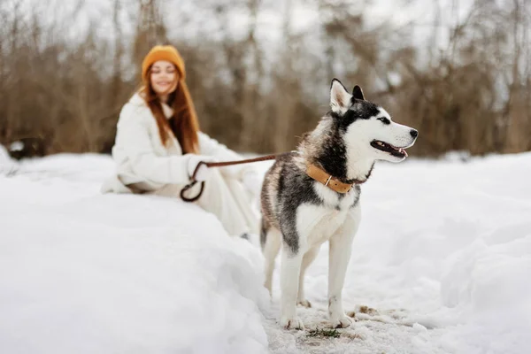 冬の野外で犬の冬休みを持って歩く女性 — ストック写真