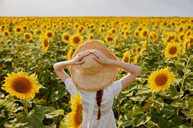 Beyaz elbiseli, hasır şapkalı bir kadın. Güneşli bir günde, ayçiçeği tarlasına bakıyor.