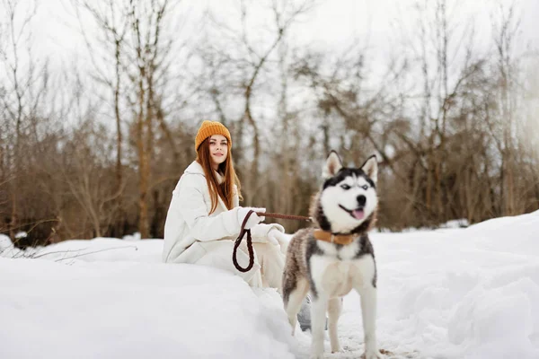 冬天，快乐的年轻女子带着狗在户外的田野里散步 — 图库照片