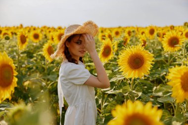 Ayçiçeği tarlasına değişmeden bakan kadın portresi