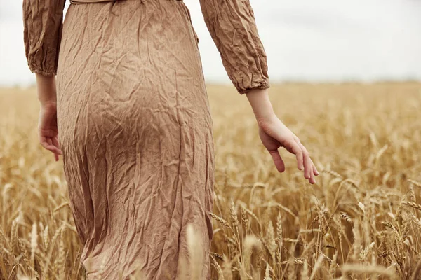 Vrouwelijke hand spikeletten van tarwe oogsten biologische zonnige dag — Stockfoto
