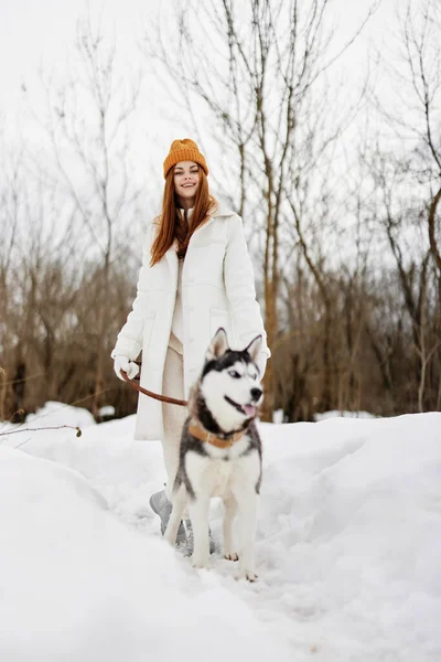Retrato de uma mulher ao ar livre em um campo no inverno andando com um cão ar fresco — Fotografia de Stock