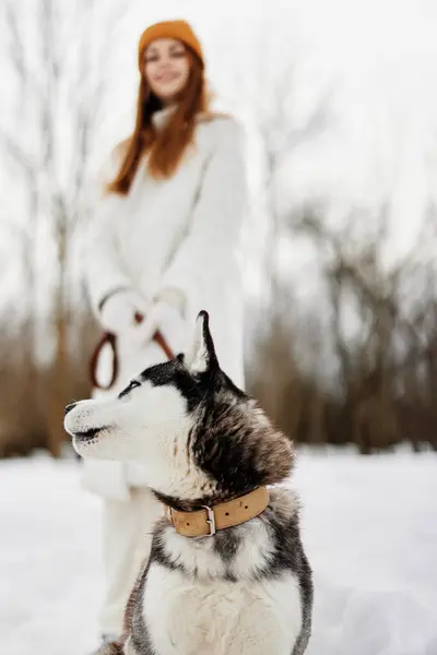 Woman with a purebred dog winter walk outdoors friendship winter holidays — Stock Photo, Image