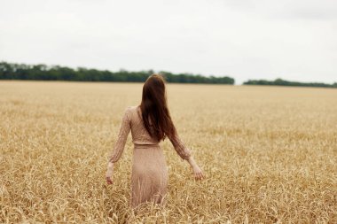 Kadın el çavdarı çiftliği sonbahar mevsimi konsepti. Yüksek kalite fotoğraf