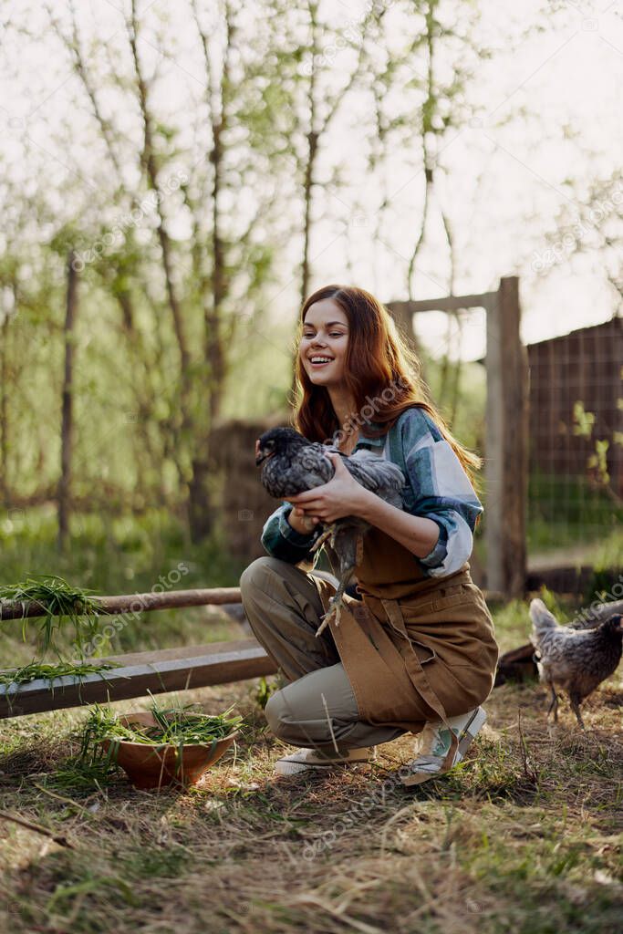 Outdoors in the poultry pen, a young woman farmer feeds fresh green grass to young laying hens and smiles. High quality photo