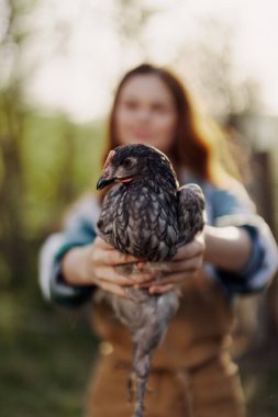 Genç ve mutlu bir kadın kameraya bakıp gülümsüyor ve çiftliği için gün ışığında yumurtlayan genç bir tavuğu tutuyor. Şefkat ve sağlıklı kümes hayvanları kavramı. Yüksek kalite fotoğraf