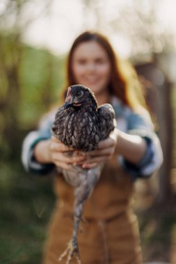 Genç ve mutlu bir kadın kameraya bakıp gülümsüyor ve çiftliği için gün ışığında yumurtlayan genç bir tavuğu tutuyor. Şefkat ve sağlıklı kümes hayvanları kavramı. Yüksek kalite fotoğraf