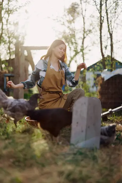 A woman sits in the bird pen and feeds the chickens organic healthy fresh food for the safety and health of the birds on the farm on a sunny summer day at sunset. High quality photo