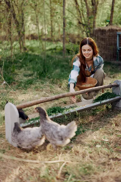 Woman farmer smiles feeds birds chickens organic food for bird health and good eggs and care for the environment, sunset light. High quality photo