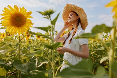 Ayçiçeği tarlasında bir şapka içinde kadın portresi. Yüksek kalite fotoğraf