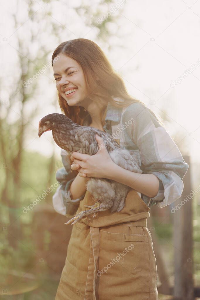 A happy young woman smiles at the camera and holds a young chicken that lays eggs for her farm in the sunlight. High quality photo