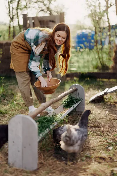 Woman Feeds Chickens Organic Food Bird Health Good Eggs Care — Stock Photo, Image