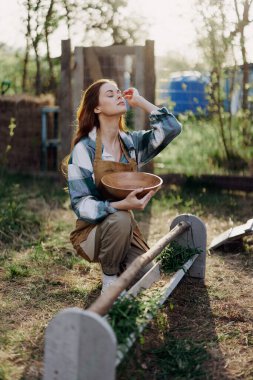Tavukları beslemek için bir kase organik besinle kümes hayvanlarının kafesinde oturan bir kadın, yaz günü gün batımında çok çalıştıktan sonra dinleniyor. Yüksek kalite fotoğraf