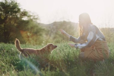 Bir kadın, doğanın güneşli akşamında yeşil çimlerin üzerinde küçük köpeğiyle oyun oynar. Hayvanlarla ilgilenmek ve doğayla uyum içinde olmak. Yüksek kalite fotoğraf