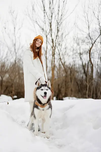 Retrato Uma Mulher Neve Brincando Com Cão Livre Amizade Estilo — Fotografia de Stock