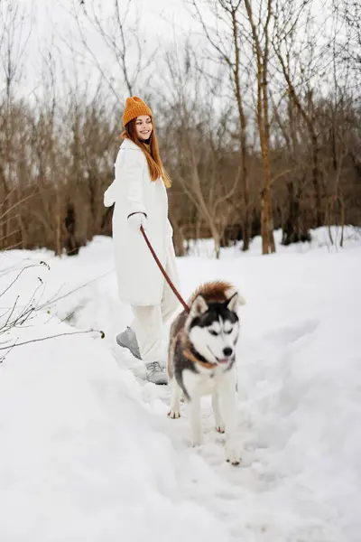 Retrato Uma Mulher Livre Campo Inverno Andando Com Cão Fresco — Fotografia de Stock