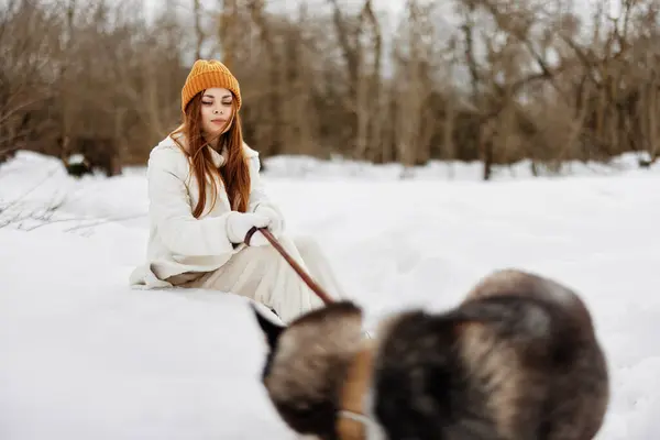 Mulher Inverno Livre Com Cão Diversão Natureza Férias Inverno Foto — Fotografia de Stock