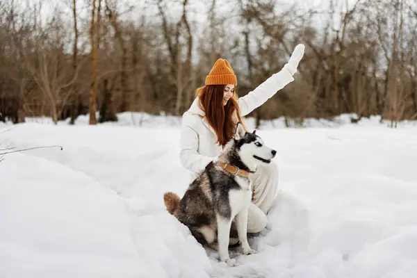 woman with dog winter walk outdoors friendship fresh air. High quality photo