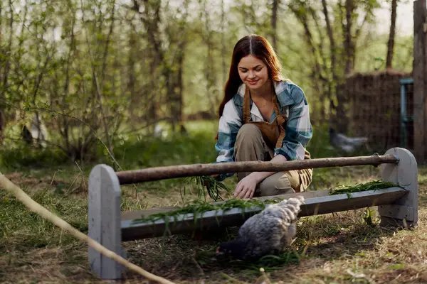 Female Bird Farm Worker Smiles Happy Pouring Food Chicken Feeder — Stock Photo, Image