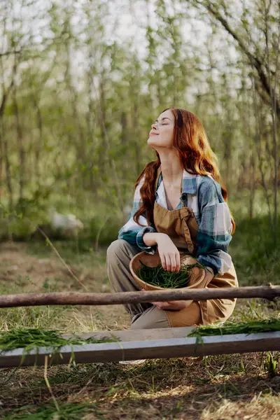 Girl bird farm worker smiles and is happy pouring food into the feeder for the chickens outdoors. High quality photo