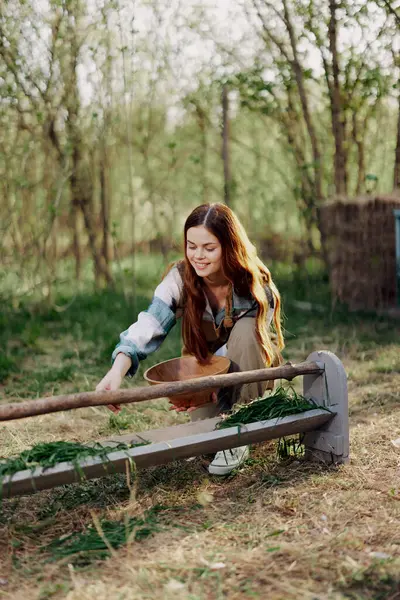 Mujer Agricultora Sonríe Alimenta Aves Gallinas Alimentos Orgánicos Para Salud — Foto de Stock