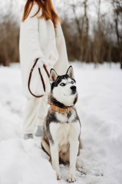 Saf köpekli bir kadın açık hava oyunlarıyla kar eğlencesi temiz hava ile seyahat ediyor. Yüksek kalite fotoğraf