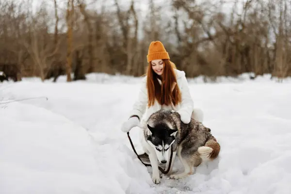 woman with dog outdoor games snow fun travel winter holidays. High quality photo