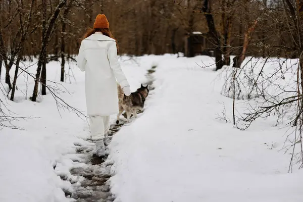 Портрет Женщины Открытом Воздухе Поле Зимой Гуляющей Собакой Свежим Воздухом — стоковое фото