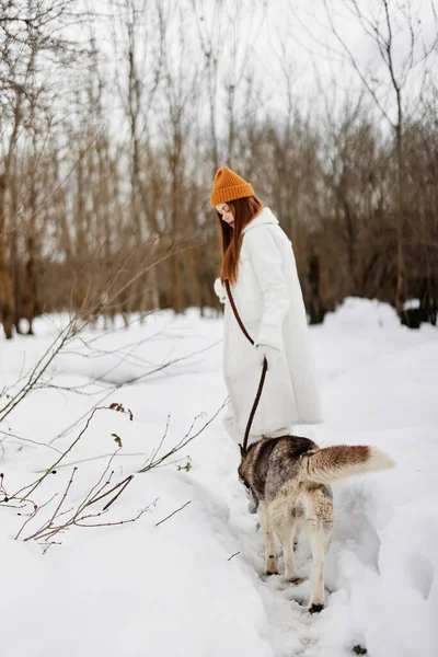 Happy Young Woman Snow Playing Dog Husky Fun Friendship Lifestyle — Stock Photo, Image