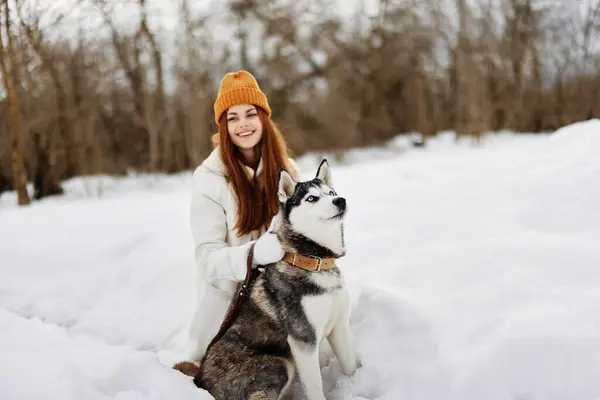 Mujer Joven Con Husky Juegos Aire Libre Nieve Diversión Viaje —  Fotos de Stock
