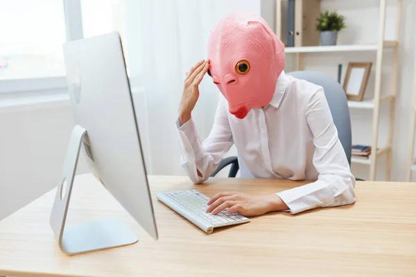 穿着粉色鱼面具的疯狂的女自由职业者在电脑上工作 他们在网上思考或做决定时被操作问题所震惊 这让他们在轻松现代的办公室里显得很沮丧 复制空间 — 图库照片