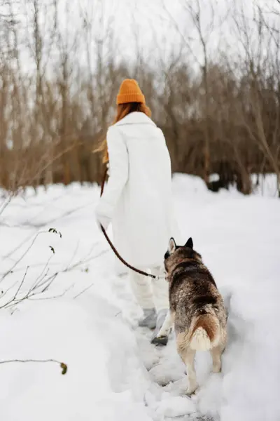 Glad Kvinna Snön Leker Med Hund Husky Kul Vänskap Frisk — Stockfoto