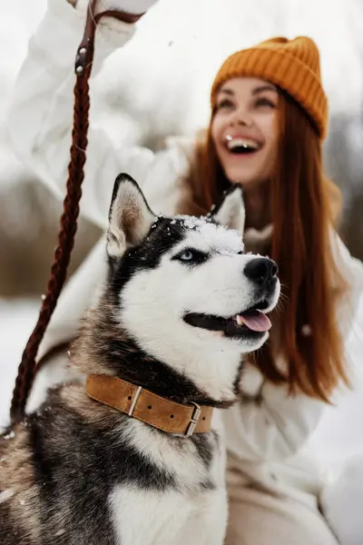 Woman Purebred Dog Snow Walk Play Rest Fresh Air High — Stock Photo, Image