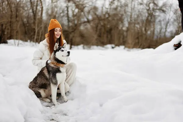 Young Woman Husky Snow Walk Play Rest Winter Holidays High — Stock Photo, Image