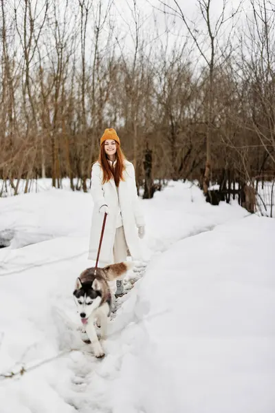 Retrato Uma Mulher Inverno Livre Com Cão Natureza Divertida Fresco — Fotografia de Stock